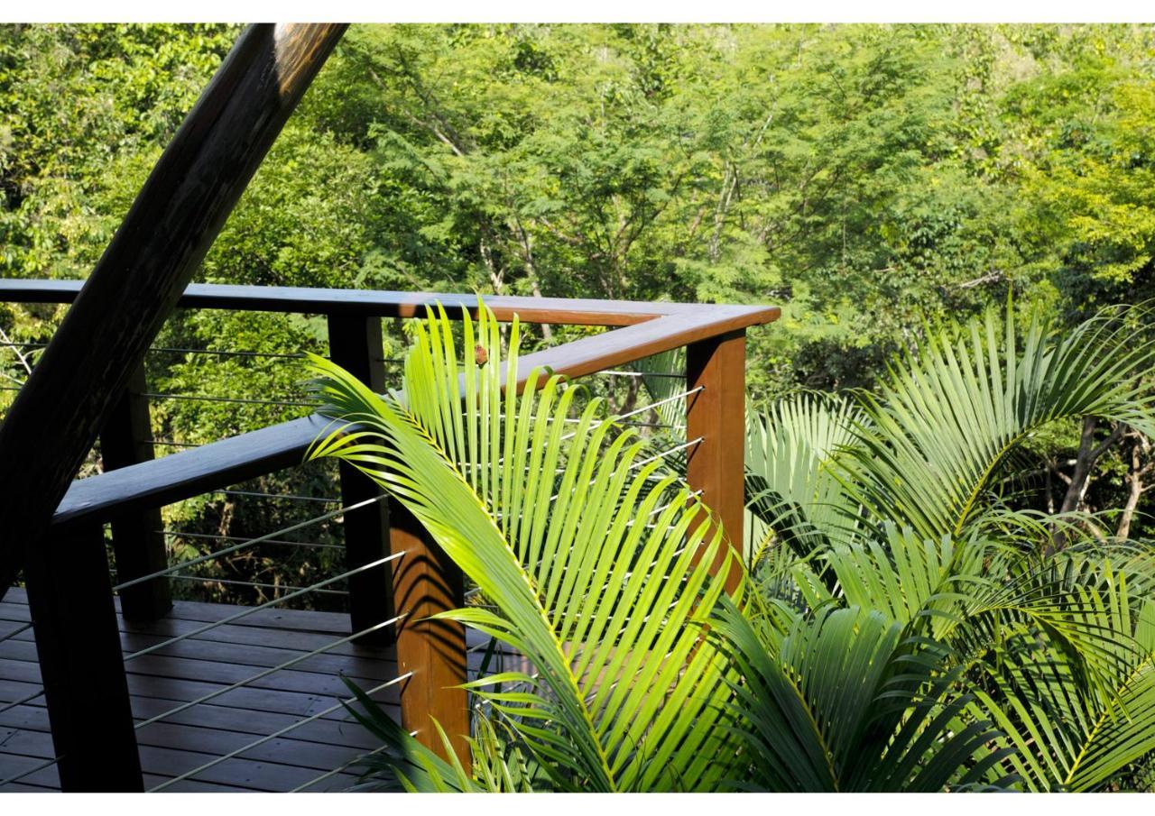 Mikado Natural Lodge بلايا أفيينا المظهر الخارجي الصورة